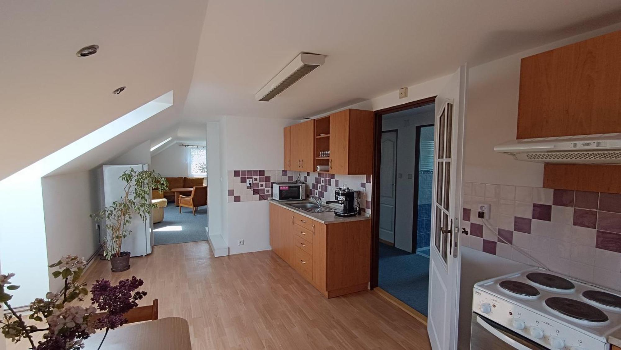 Apartment Vcelakov Dış mekan fotoğraf